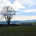 Au-dessus de Hinter-Olisrüti, vue vers les Alpes bernoises
