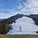 Weiss und grün