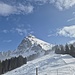 Fronalpstock