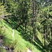 Am Ende entspannter, schöner Wanderpfad