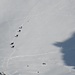 in der Sonne