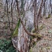 Pietra Pendula<br />