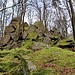 Weiter ging's über moosige Brocken hinauf...