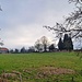 Über diesewiese ging es dann schließlich zurück zum Friedhof Lützelbach.