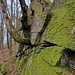 ...zum Wildfrauhaus, einer kleinen, von einem wilden Zacken gekrönten Felswand. 