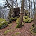 Um das Wildfrauhaus (gern auch "Wildefrauenhäuschen") rankt sich eine Odenwälder Sage. Sie erzählt, dass in einer Höhle unter einem großen Felsen bei Lützelbach zwei Wilde Menschen, ein Wilder Mann und eine Wilde Frau gewohnt hatten. Sie sollen viele kranke Leute kuriert haben. Als der Mann einst gefangen wurde, rief ihm die Frau nach: "Sag Alles, sag Alles, nur nicht, wozu die Wilden Salben gut sind." (Mit Salbe ist hier wohl die Heilpflanze Salbei gemeint).