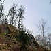 Der nächste Rechtsabzweig führt zum Fuß der eindrucksvollen Felsengruppe Lindenkopf.