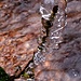 Eisfigur am Bonin-Brunnen.