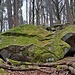 ...ich ignorierte sie meist und folgte den Felsen....