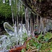 Eiszapfen am Bonin-Brunnen.