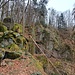 Ich wanderte in den Wald hinunter und stand bald in einem ehemaligen Steinbruch. 