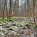 Unterhalb wanderte ich dann durch den Wald nach rechts zur Kehre eines breiten Waldwegs. Ich folgte dem unteren Zweig des Wegs nach Osten (Bez. M1/L3), überquerte einen Bach und ein kleines Felsenmeer.