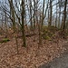 Ich folgte den Wanderweg Richtung Südwesten, querte bald erneut den hier deutlicher sichtbaren Ringwall und wanderte ...
