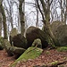 Hier im Wald entdeckte ich die ersten Felsen - und wich prompt von meinem Plan ab.