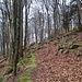 ... immer den spannendsten Felsen folgend.  Alte Wege finden und verlieren sich...