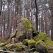 Bald ist der Weg problemlos zu verfolgen, und ich folgte ihm für ca. 300 Meter - nicht ohne diesen kleinen Granitbrocken rechts abseits mitzunehmen. 