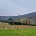 ...zu einem Parallelweg, auf dem ich nun nach links hinunter aus aus dem Wald hinauswanderte. 