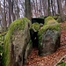 Ich folgte den breiten Waldweg KB1.