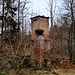 Rauf zu einer Lichtung, auf der ein alter Turm steht. Hinter diesem wanderte ich auf einem breiten Weg von der Lichtung weg, gleich aber links wieder hinauf, einem Pfad folgend, der mich...