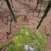 ...zu einem tollen moosigen Felsen...