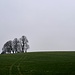 Zuerst ging's mal am Friedhof vorbei hinüber zum Wald, und dort, dem Waldrand folgend, nach links. 