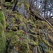 Ich folgte den Granitfelsen des Steingerölls.