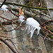 der Winter ist noch nicht vorbei