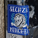 Puh, es ist wieder mal eine schwere Saison für die Kätzchen