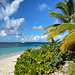 Shoal Bay - Stellenweise reicht die tropische Vegetation nah ans Meer heran.