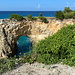 Am Anguilla Arch - Mittlerweile zeigt sich der Leguan an anderer Stelle. Die Art ist offenbar (erst) in den 1990er Jahr durch Hurrikans übers Meer auf die Insel gekommen.