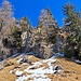Rückblick auf eine kurze versicherte Schrofenstufe im Abstieg vom Hochstrickel. Mit Schnee durchaus T3. 