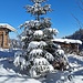 Winterstimmung