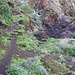 unterwegs im Barranco de Igueste