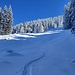 Ein  Wintermärchen sondersgleichen am heutigen Tag. 