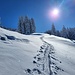 So macht das Tourengehen Spass. Aber die Schneedecke ist dünn ohne grosse Grundlage - es ist daher Vorsicht vor leicht überschneiten Felsen/Felsblöcken angesagt.