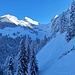 Im schattigen Aufstieg nach Zindlen - hinten Schiberg - Plattenberg