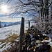 Wintersonne.