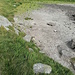 Murmeli-Suchbild Nr.2