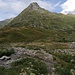 Terrihütte und jede Menge Schafe.