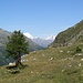 Hinter dem Turtmanntal schaut das frisch verschneite Balmhorn heraus