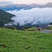 Hansletalm und Tiere von oben