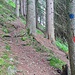 nettes Steiglein - rot und blau markiert