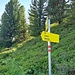 ein beschilderter Kreuzungspunkt
