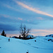 Blaue Stunde an der Hölleialm