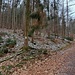 Dort blieben wir an einem weiteren Abzweig auf der rechten Talseite, bis rechts am Eingang eines Seitentals eine Hütte steht. Dort beginnt, an einem mit "124 E" bezeichneten Baum, ein unbezeichneter Pfad...