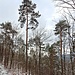 Winter is!