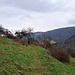 Neuscharfeneck - Meistersel - Ramberg: die drei Burgen rund um Ramberg gehörten zu den allerersten, die ich besuchte, nachdem ich in diese Region gezogen war. Seit Jahren war ich schon nicht mehr dort gewesen.