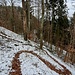 Es geht hinunter zum Sattel nordwestlich der Burg.