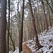 Vom Halsgraben östlich der Anlage ziehen sich zwei breite Wege nach Osten, und ein Wanderweg.