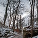 Wir wanderten den Stich hinauf Richtung Burgruine.